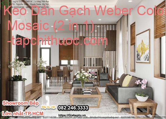 Keo Dán Gạch Weber Color Mosaic (2 in 1) 