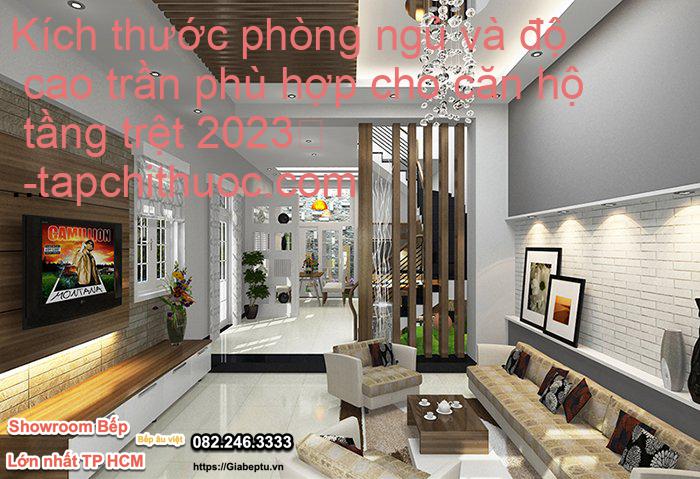 Kích thước phòng ngủ và độ cao trần phù hợp cho căn hộ tầng trệt 2023
- tapchithuoc.com